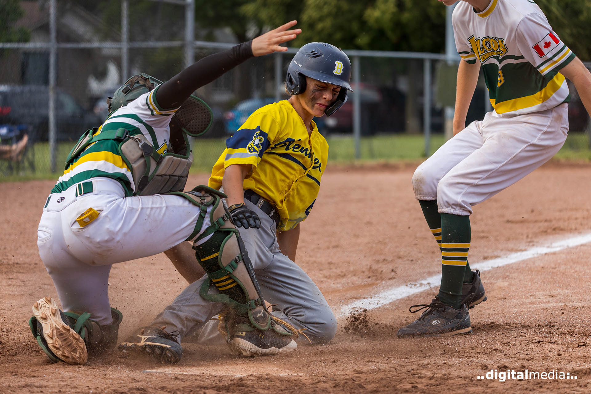 Pictures of forest glade fastball by Mark Campbell of Digital Media