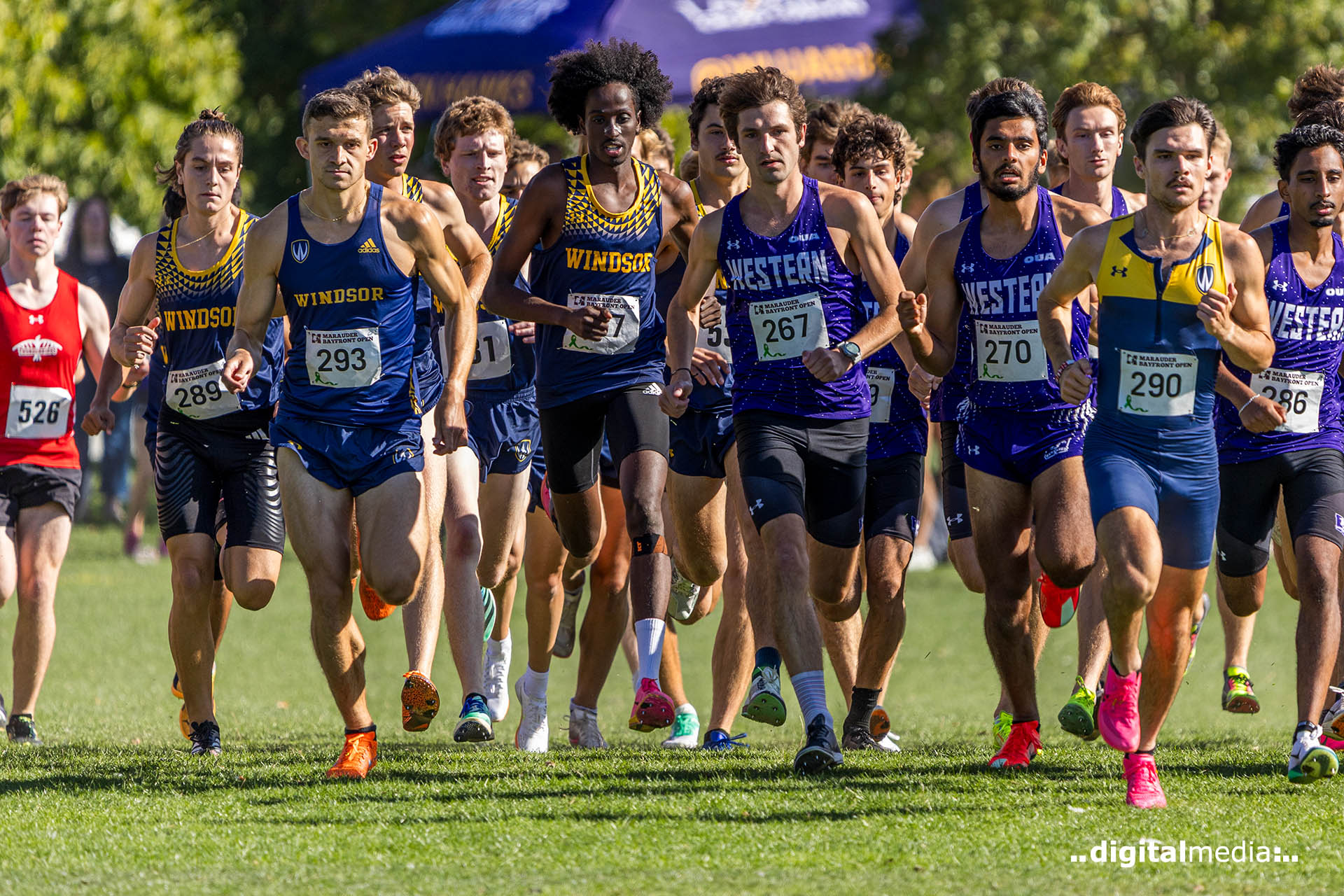 Pictures of Cross Country at McMaster Bay Hill by Mark Campbell of Digital Media