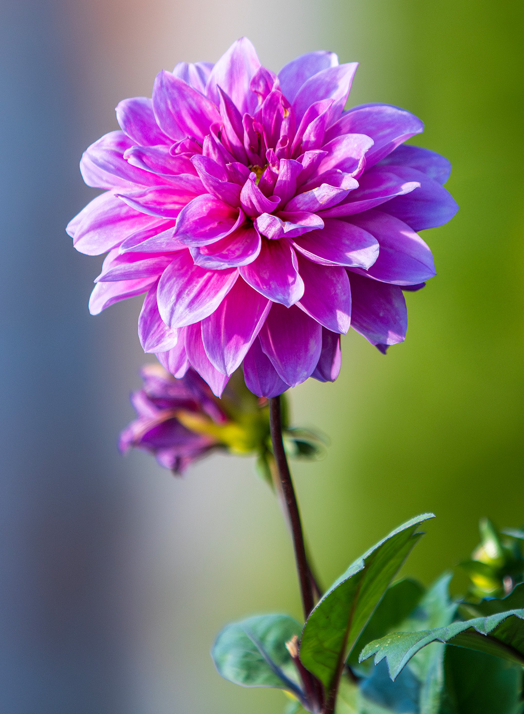 landscape picture photography by Mark Campbell of Digital Media